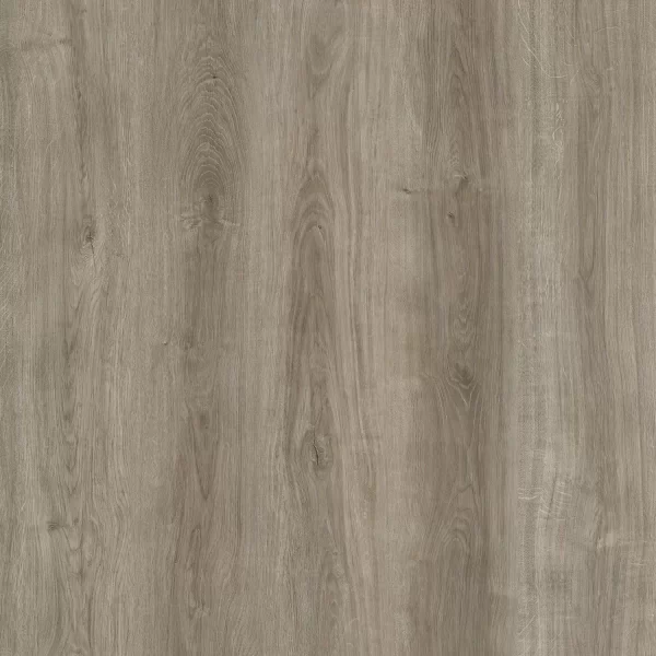 Schooner & Sand Dune Color Wood Oak Pattern Design for Luxury Vinyl SPC Floorings